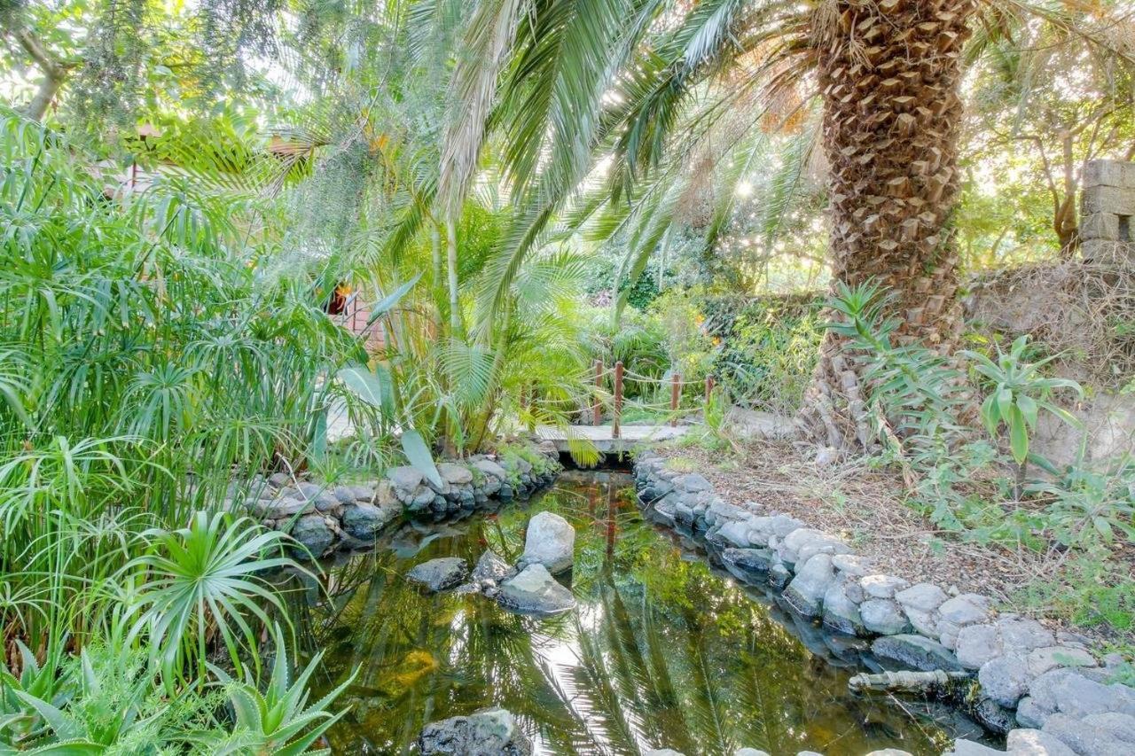 Villa Mimosa Arafo Dış mekan fotoğraf