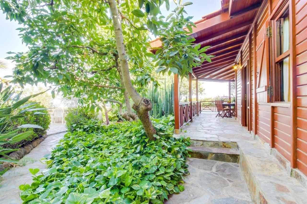 Villa Mimosa Arafo Dış mekan fotoğraf
