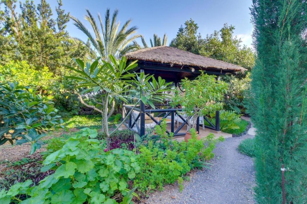Villa Mimosa Arafo Dış mekan fotoğraf